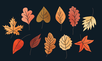 Fototapeta premium Set of autumn elements. Leaves, acorns, autumn flowers