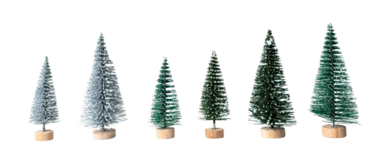 Christmas tree isolated on white or transparent background.