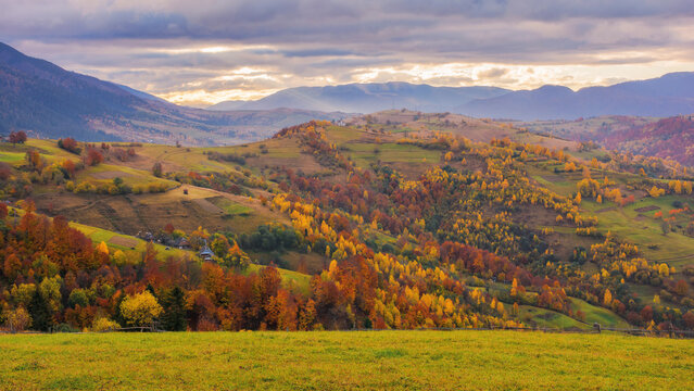 carpathian countryside in autumn at sunrise. rural fields and forested hill in morning light. distant ridge beneath an overcast sky