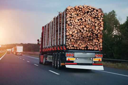 A long trailer truck with a cargo of wooden logs on a motorway