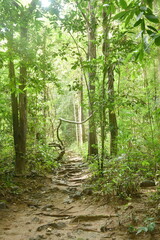 footpath to waterfall at Jetkod-Pongkonsao travel location in Thailand