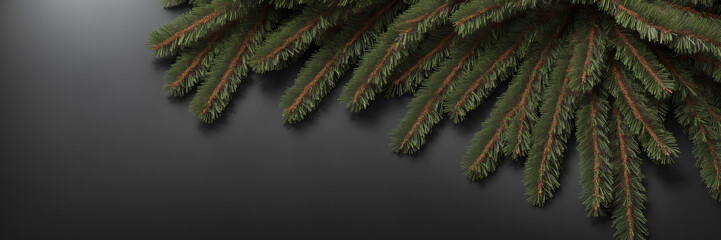branches of a tree, fir branches