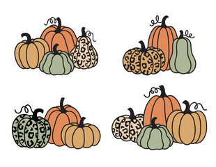 Fall and Thanksgiving pumpkins with leopard pattern in group of three and four. Pumpkin drawing vector illustration.