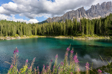Carezza lake on a sunny day, Italy. - 655327889