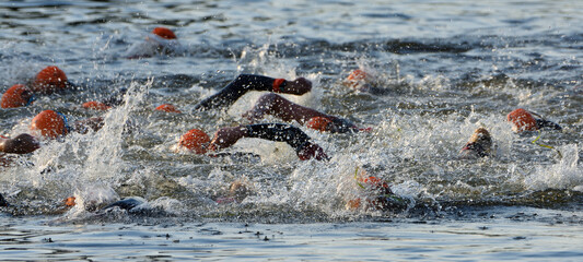 Triathlon Swimmers  in river orange hats. 