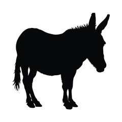 Donkey Silhouette on White