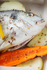 Marinated dorado fish with vegetables and spices on baking sheet before baking. Close up