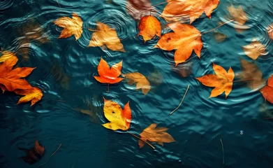  Colorful fall leaves in pond lake water, floating autumn wet leaf. Fall season leaves in rain puddle. Sunny autumn day foliage. October weather, november nature background. digital ai  © Viks_jin