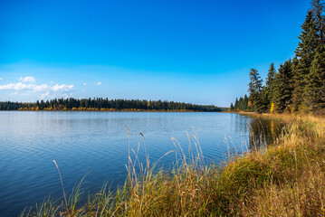 lake and forest