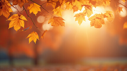 Naklejka na ściany i meble Autumn leaves on the sun. Fall blurred background