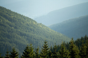 Green mountain hills