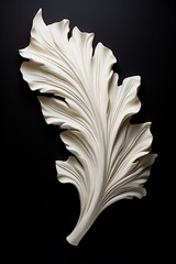 black and white abstraction of acanthus leaf.