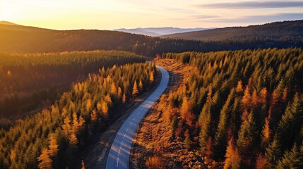Tall pine trees lined the roadway, creating a serene backdrop for the drive..