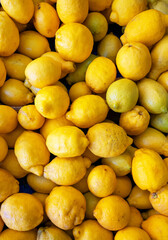 Lots of eco friendly lemons in the city market.