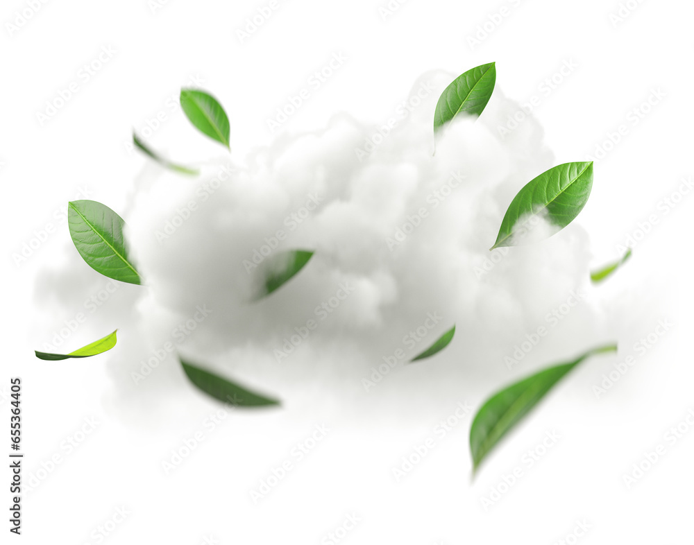 Aufkleber leaves flying movement with smooth clouds cutout backgrounds 3d rendering png