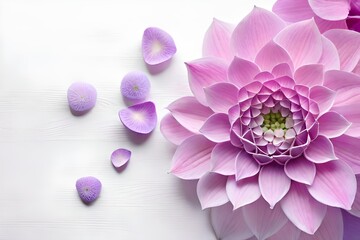 beautiful pink flower closeup on white background, top view - Powered by Adobe