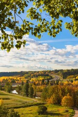 Fototapeta premium Leaves Framing The Fall River Valley