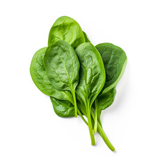 Spinach isolated on white background