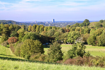 landscape of region