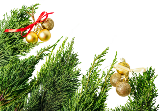 Christmas background isolated on white or transparent background.