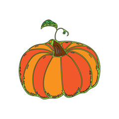 pumpkin isolated on white background. colorful pumpkin design and vector illustration.