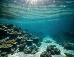 Fototapeta na wymiar Ocean underwater panorama with ocean light background and coral.