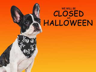 Signboard with the inscription We will be closed on Halloween. Cute puppy dog and Count Dracula...
