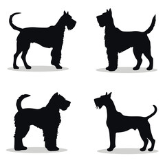 Airedale Terrier silhouettes and icons. black flat color simple elegant Airedale Terrier animal vector and illustration.