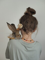 a rabbit in the hands of a girl