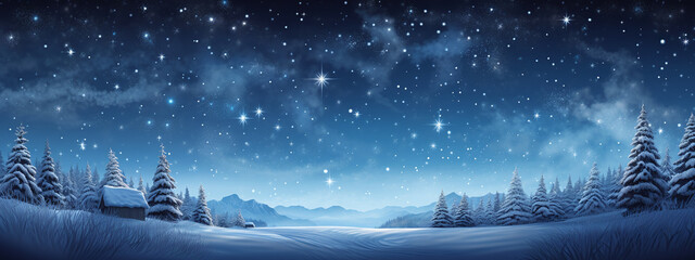 Paysage d'une nuit en hiver avec un ciel étoilé - obrazy, fototapety, plakaty