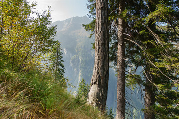 Herbst in den Bergen des Zillertal im schönen Tirol