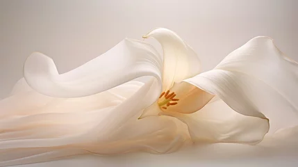 Photo sur Plexiglas Photographie macro Delicate white lily on a white piece of fabric.