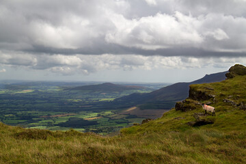 View from the mountain Knocksheegowna in the Comeragh mountains on Ireland's County Tipperary, in...