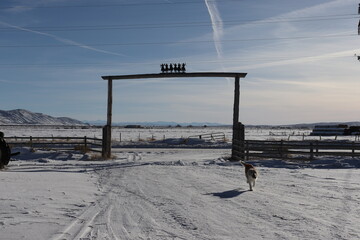 Snowy Utah Ranch