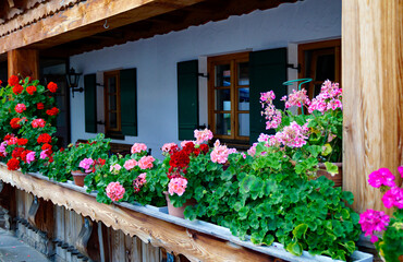 idyllic scene with a traditional Bavarian rustic alpine farmhouse with red geraniums on the balcony ledge in Schwangau in the Bavarian Alps on a summer day (Bavaria, Germany)	