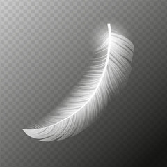 White feather. Flying realistic vector white feather. Isolated vector illustration EPS10