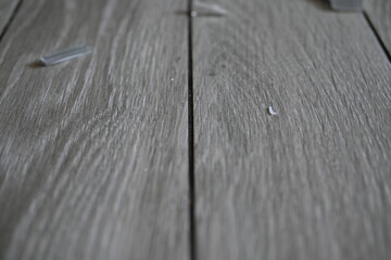 pieces of broken glass on the tile