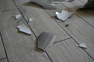 pieces of broken glass on the tile