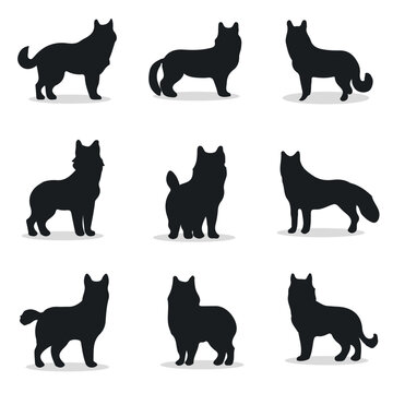 Akita silhouettes and icons. Black flat color simple elegant Akita animal vector and illustration.