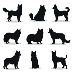 Akita silhouettes and icons. Black flat color simple elegant Akita animal vector and illustration.