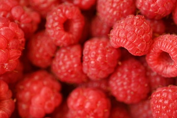 red raspberries close-up, macro juicy ripe raspberries