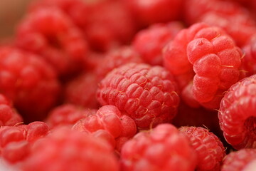 red raspberries close-up, macro juicy ripe raspberries