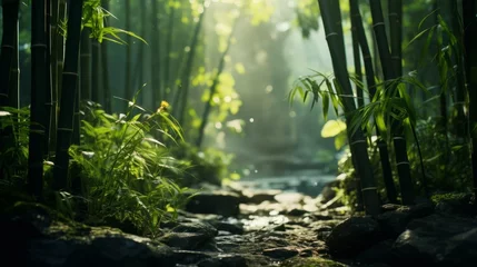 Zelfklevend Fotobehang bamboo forest in the morning © Nica