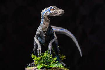 Velociraptor Dinosaur in the dark