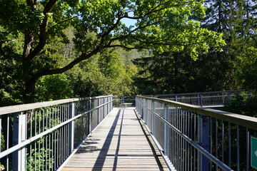 Der Baumwipfelpfad in Bad Harzburg im Harz 
