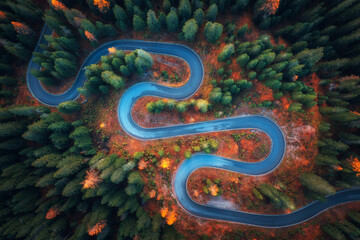 Aerial view of snake road in colorful autumn forest at sunrise. Dolomites, Italy. Top view of winding road in woods. Beautiful landscape with highway, green pine trees, red leaves in fall. Nature - obrazy, fototapety, plakaty