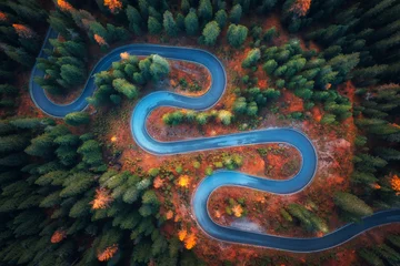 Photo sur Plexiglas Dolomites Aerial view of snake road in colorful autumn forest at sunrise. Dolomites, Italy. Top view of winding road in woods. Beautiful landscape with highway, green pine trees, red leaves in fall. Nature