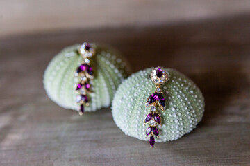 JOyas, novia, wedding, boda, pendientes, bodegón, bonito, precioso, erizo, preparació novia, 