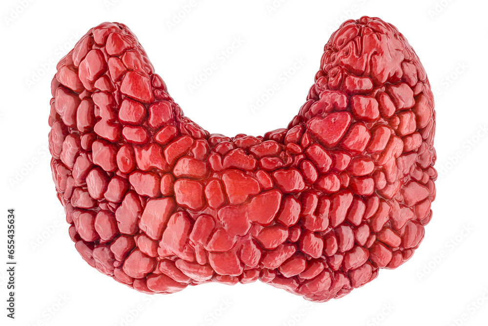 Poster human thyroid, thyroid gland. 3d rendering isolated on transparent background