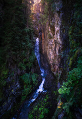 Waterfall in a canyon inside a forest in Kaunertal (Tirol, Austria), warm light from the top